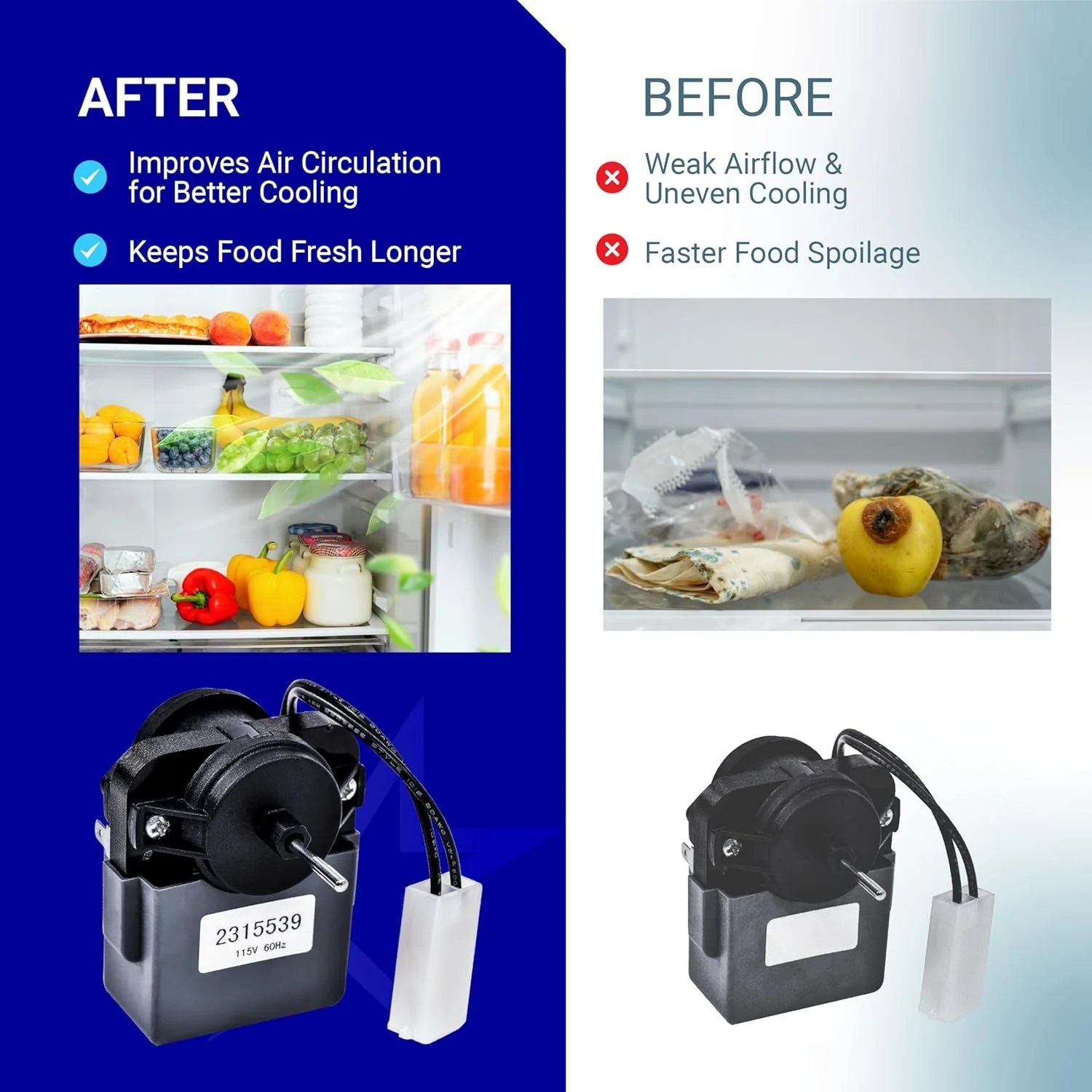 [Lifetime Warranty] 2315539 Refrigerator Evaporator Fan Motor - Image 8